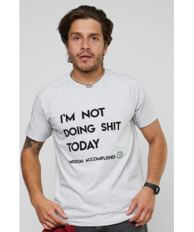 Футболка YAPPI мужская серая "I`m not doing shit today"