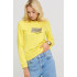 Women's sweatshirt with a print basic /no flis/