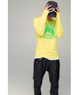 Men's sweatshirt BASIC /no flis/