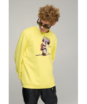 Світшот чоловічий OVERSIZE /no flis/