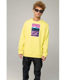 Свитшот мужской OVERSIZE /no flis/