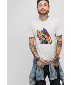 Men's T-shirt gray YAPPI