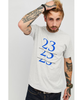 Men's T-shirt gray YAPPI