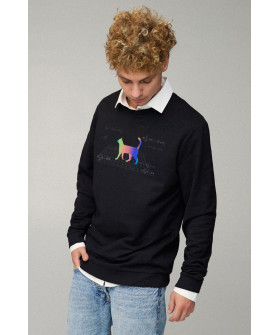 Світшот чоловічий OVERSIZE /no flis/