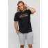 Men's T-shirt basic /air print/