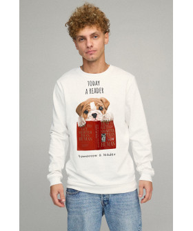 Men's sweatshirt BASIC /no flis/