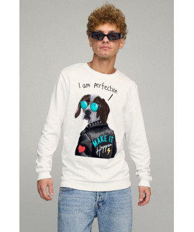 Men's sweatshirt BASIC /no flis/