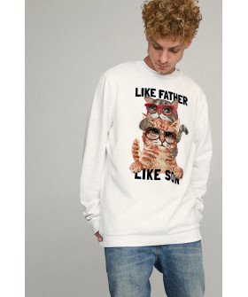 Світшот чоловічий OVERSIZE /no flis/