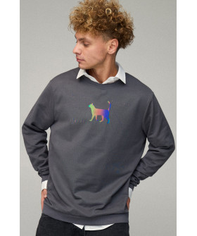 Світшот чоловічий OVERSIZE /no flis/