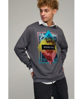Світшот чоловічий OVERSIZE /no flis/