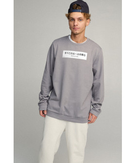 Світшот чоловічий OVERSIZE /no flis/