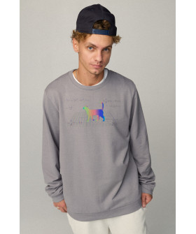 Світшот чоловічий OVERSIZE /no flis/