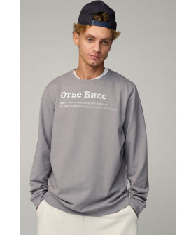 Світшот чоловічий OVERSIZE /no flis/
