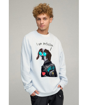 Свитшот мужской OVERSIZE /no flis/