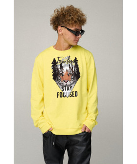 Світшот чоловічий OVERSIZE /no flis/