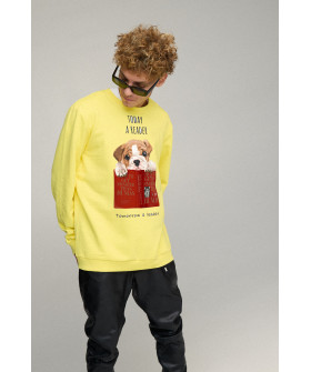 Світшот чоловічий OVERSIZE /no flis/