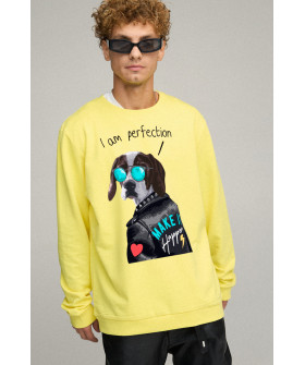 Світшот чоловічий OVERSIZE /no flis/
