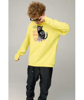 Світшот чоловічий OVERSIZE /no flis/
