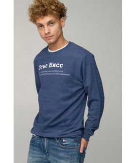 Свитшот мужской BASIC /no flis/