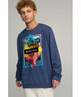 Світшот чоловічий OVERSIZE /no flis/