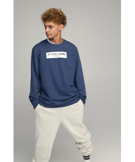Світшот чоловічий OVERSIZE /no flis/
