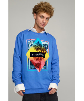 Світшот чоловічий OVERSIZE /no flis/