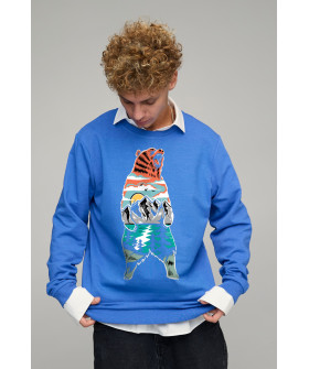 Світшот чоловічий OVERSIZE /no flis/