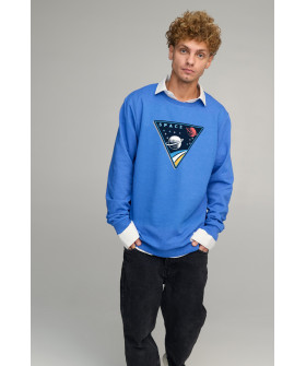 Світшот чоловічий OVERSIZE /no flis/